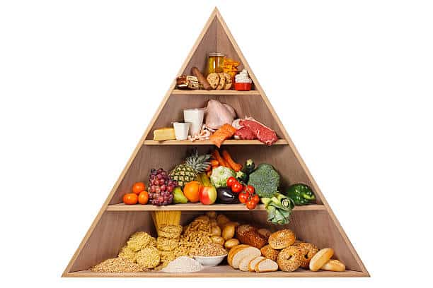 Food Pyramid Still Relevant