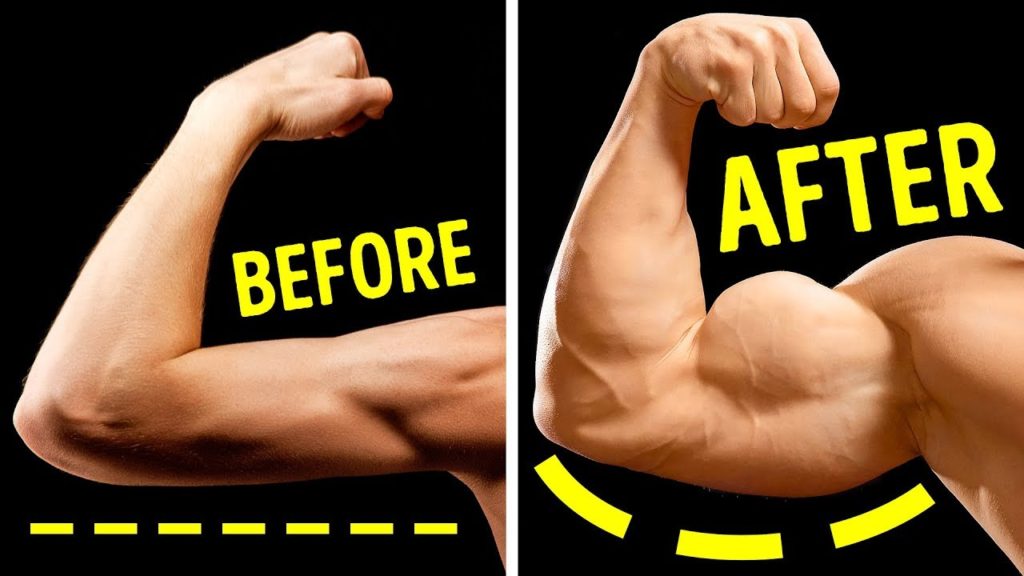 Build Muscles Naturally