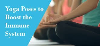 Yoga Poses for immune system boosting