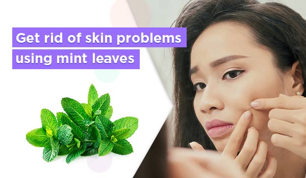 Get rid of skin problems using mint leaves
