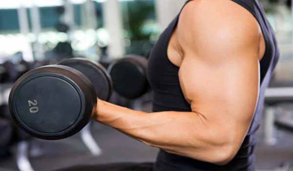  Best Weight Lifting Exercises for Strength Building