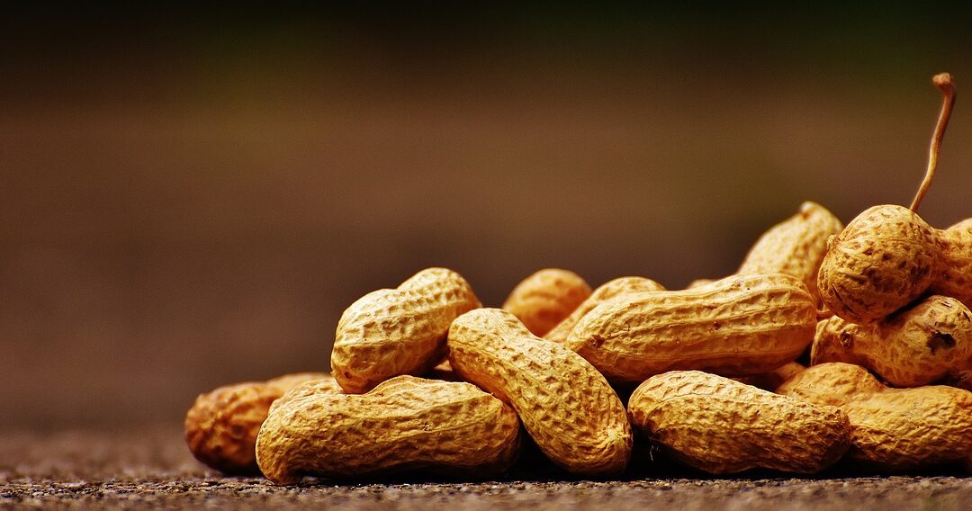 5 Best Nutrition Facts About Peanuts