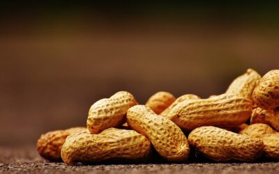 5 Best Nutrition Facts About Peanuts