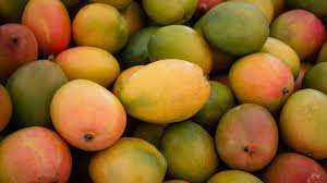 Mango, Mango Shake ve 1 Kg Mango Besin Değerleri