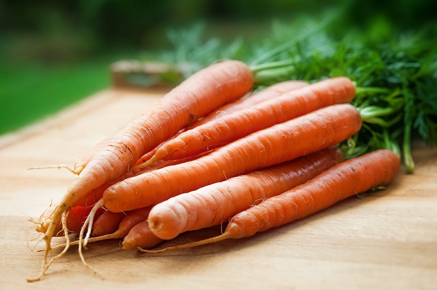 Nutrition facts about Carrots